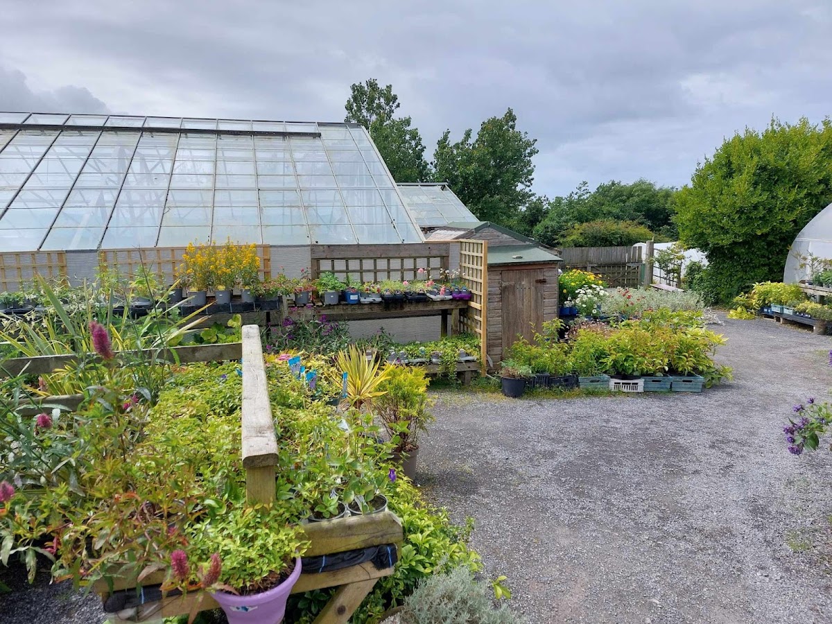 Penrallt Nursery Photos 2